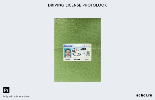 цифровая загрузка США, Мичиган DL, настоящий фотообраз переднего шаблона